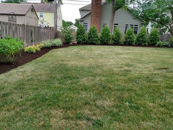 Fiore Nursery & Landscape Supply Picture 3