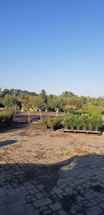 Fiore Nursery & Landscape Supply Picture 6