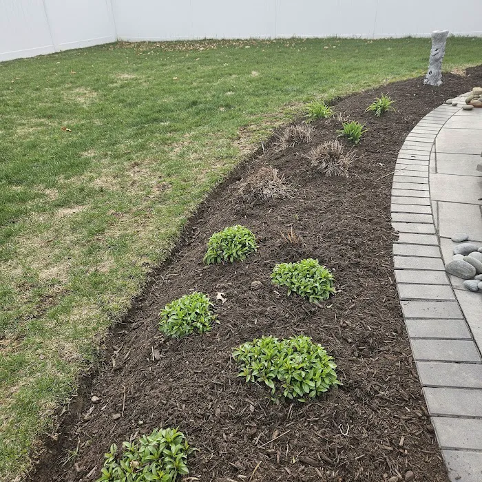 Jorge Landscaping Picture 6