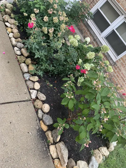Jorge Landscaping Picture 10