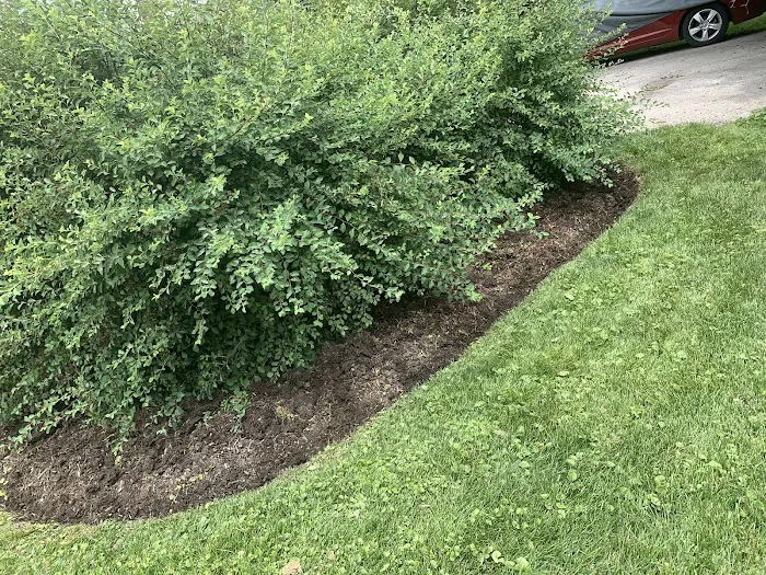 Jorge Landscaping Picture 8