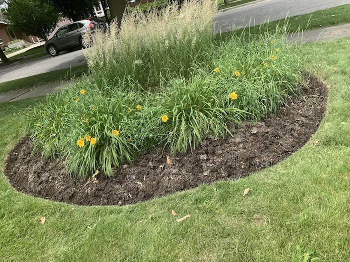 Jorge Landscaping Picture 3