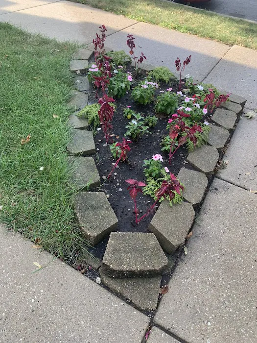 Jorge Landscaping Picture 7