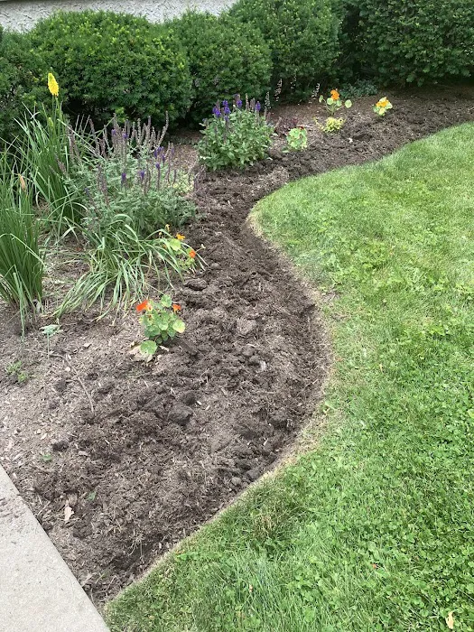 Jorge Landscaping Picture 9