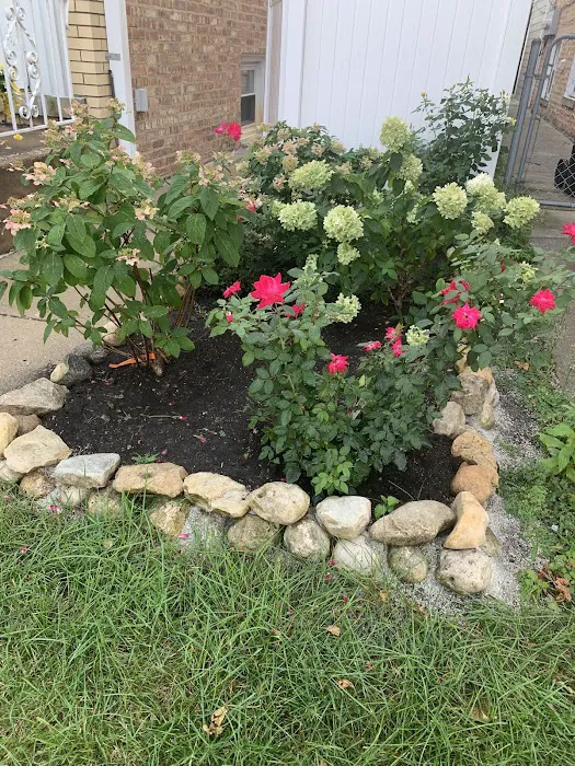Jorge Landscaping Picture 4