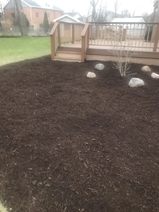 Jorge Landscaping Picture 2
