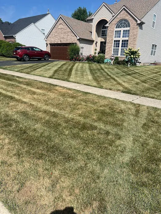 Jorge Landscaping Picture 5