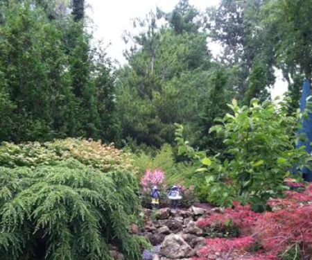 Sebert Landscape