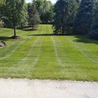 Green leaves landscaping ico