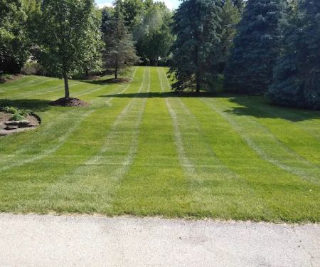 Green leaves landscaping