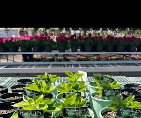 Sam's Landscape & Plow, inc.