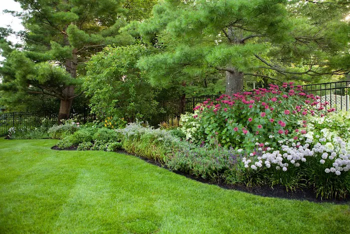 JMR Landscaping, LLC Picture 3