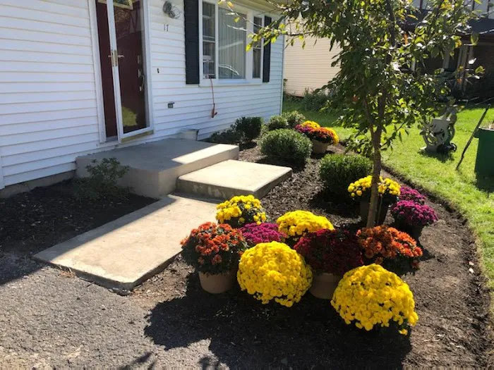 roman landscaping & snowplow Picture 3