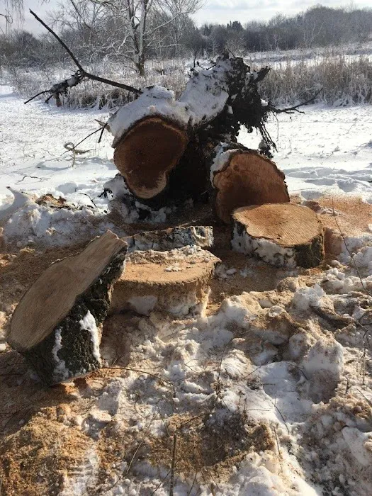 roman landscaping & snowplow Picture 5