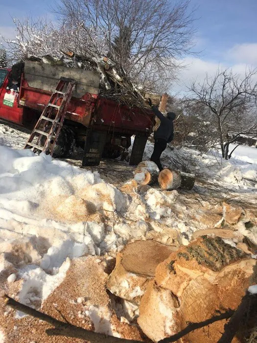 roman landscaping & snowplow Picture 8