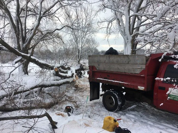 roman landscaping & snowplow Picture 7