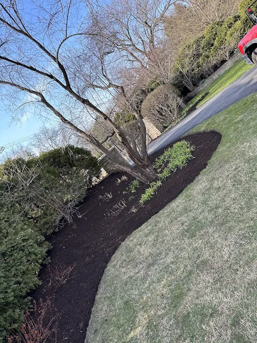Jesse’s Landscaping & Planting Services Picture 2