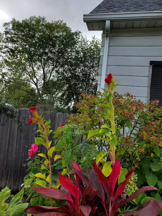 Angel's Ground Landscaping Inc. Picture 2