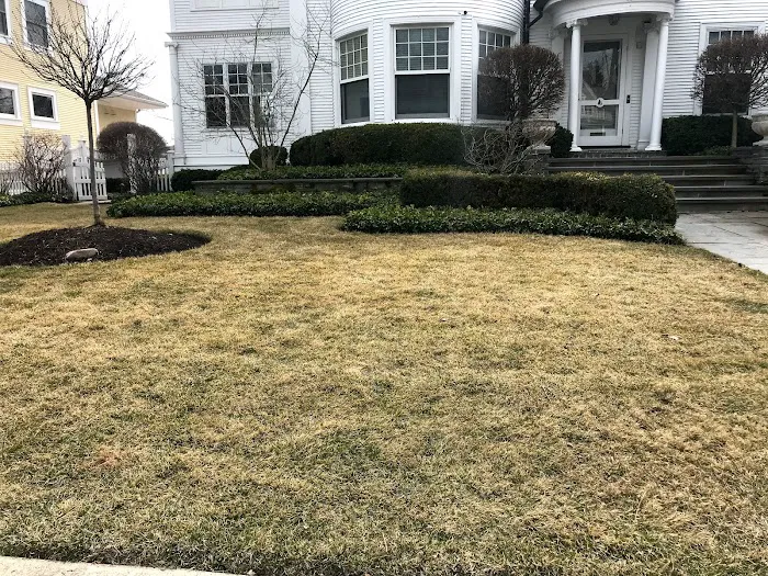 J.Perez Landscaping Inc. Picture 9