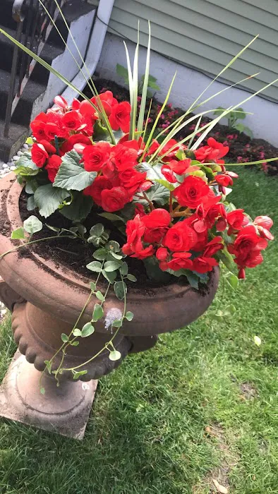 J.Perez Landscaping Inc. Picture 8