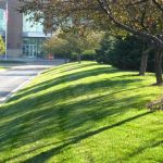 McEnery Lawn Care