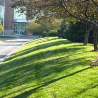 McEnery Lawn Care ico
