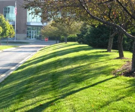 McEnery Lawn Care