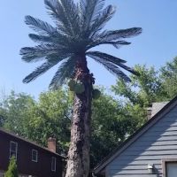 Brown Tree Service Inc ico