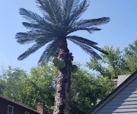 Brown Tree Service Inc