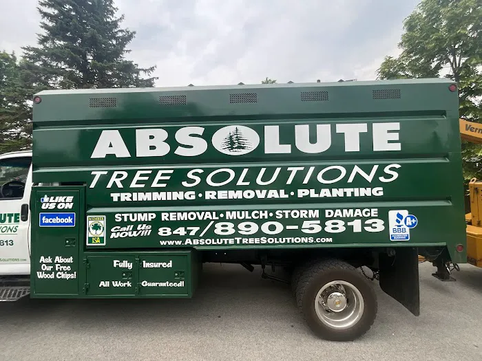 Absolute Tree Solutions Picture 1