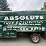 Absolute Tree Solutions