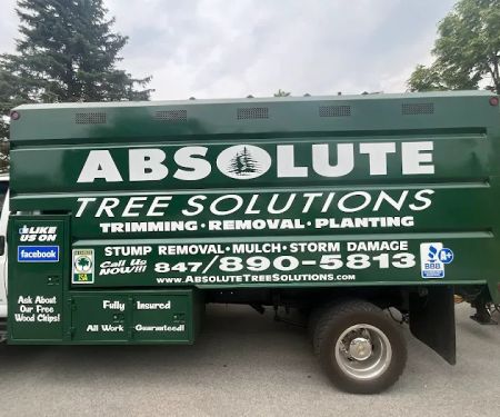 Absolute Tree Solutions