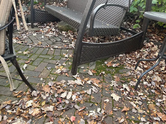 Milieu Landscaping Picture 2