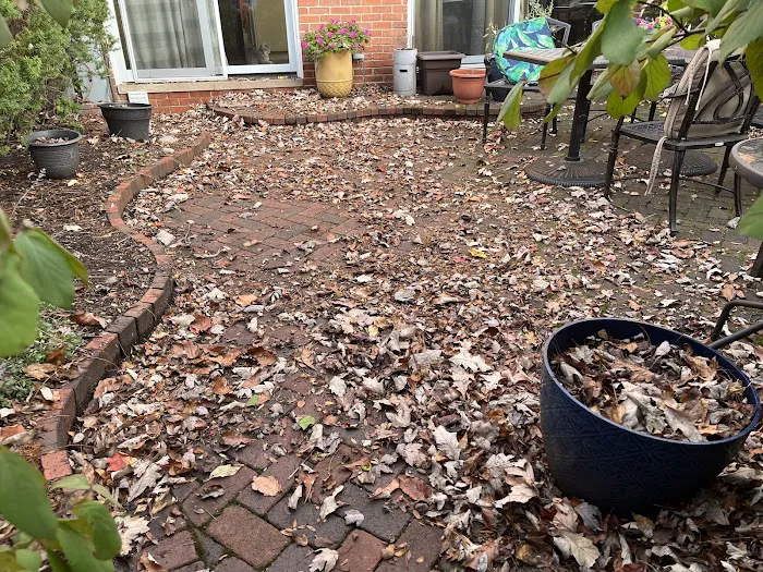 Milieu Landscaping Picture 8