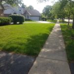 R & R Yard Design Inc