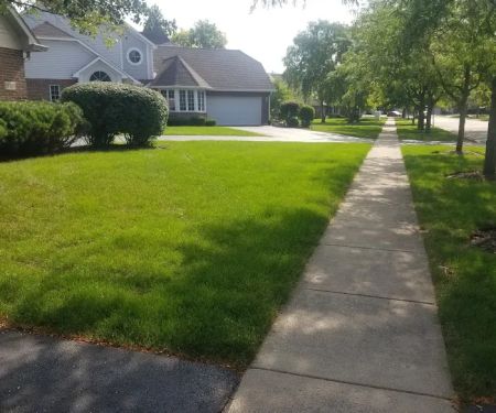 R & R Yard Design Inc