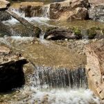 The Pond Beyond, LLC