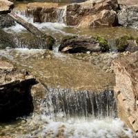 The Pond Beyond, LLC ico