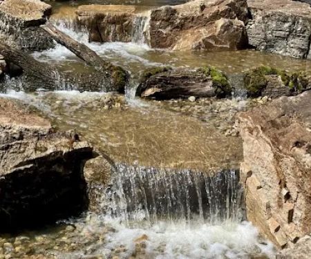 The Pond Beyond, LLC