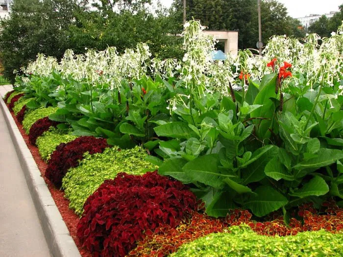 Green Arbor Landscape Contractors, Inc. Picture 10