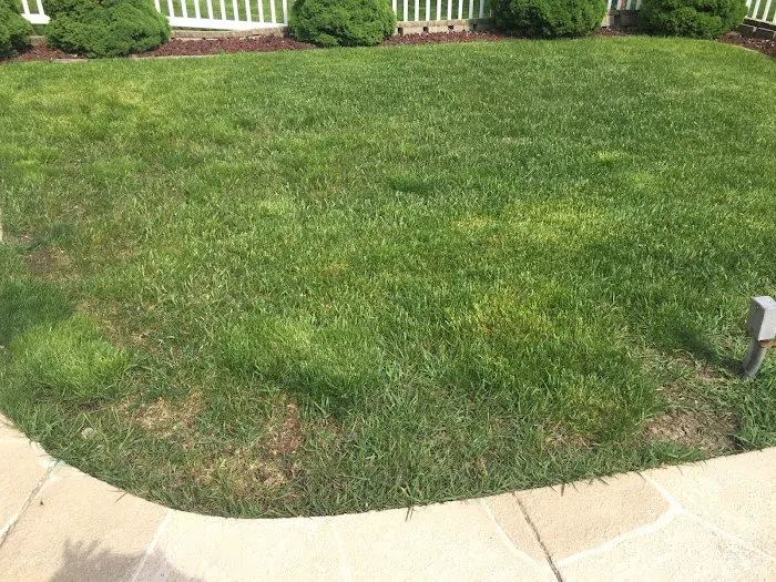 Eternally Green Lawn Care, Inc. Picture 2