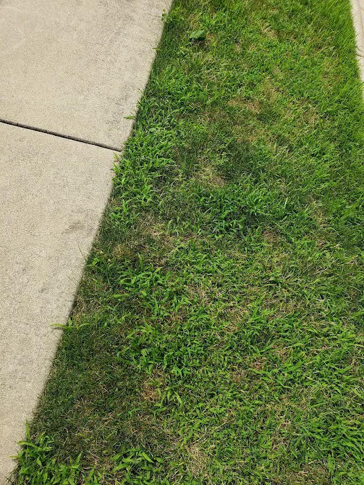 Eternally Green Lawn Care, Inc. Picture 3