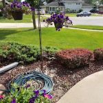 Landscape Associates Inc