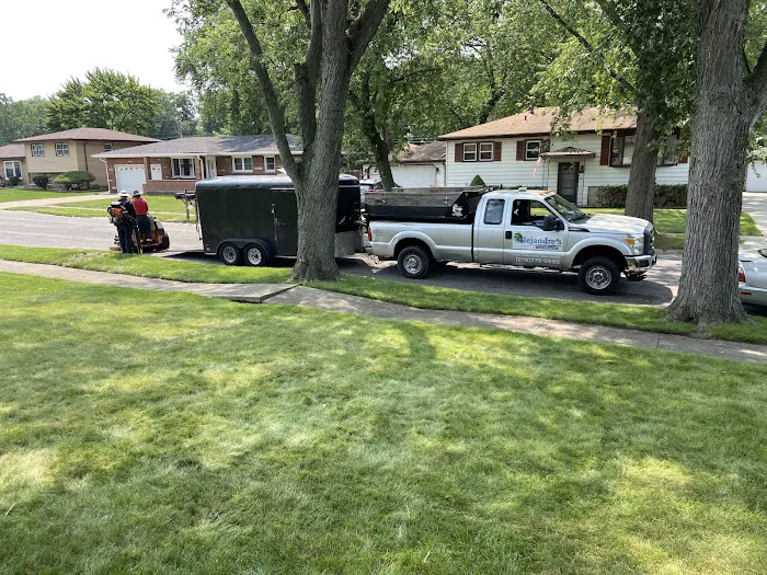 Alejandre Landscaping Picture 2