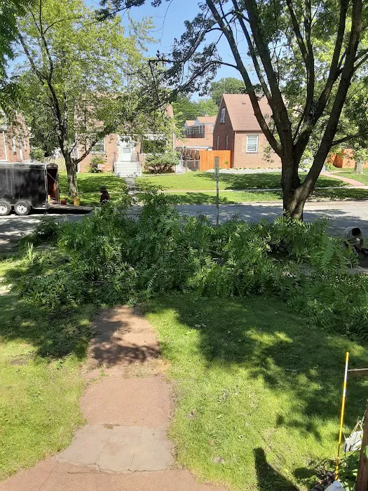 Alejandre Landscaping Picture 8