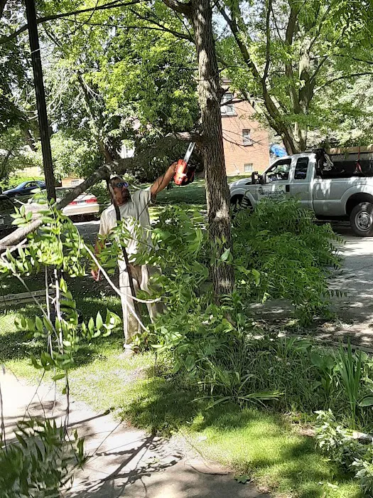 Alejandre Landscaping Picture 6