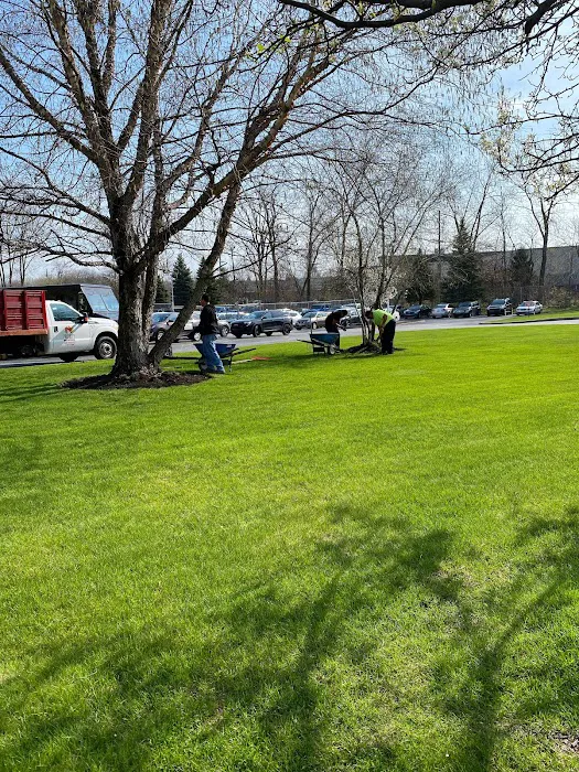 Priority Landscape & Maintenance Picture 10