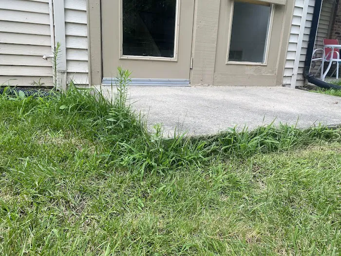Priority Landscape & Maintenance Picture 1