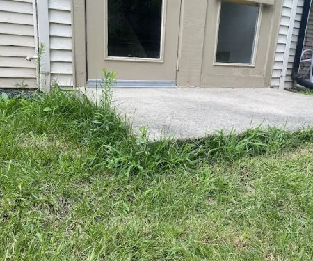 Priority Landscape & Maintenance