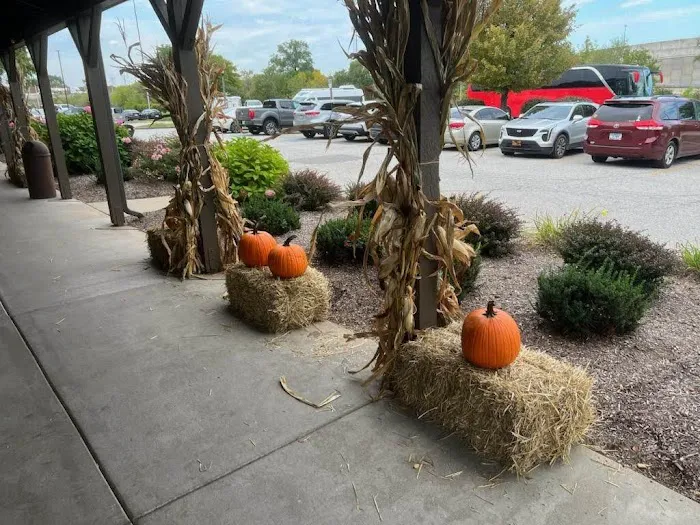 Priority Landscape & Maintenance Picture 9